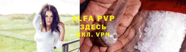 apvp Белокуриха