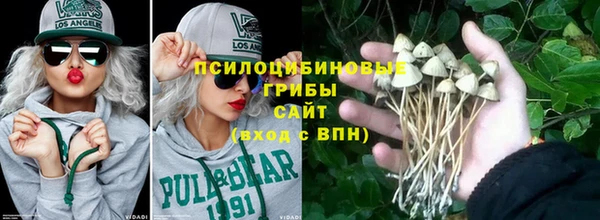 apvp Белокуриха